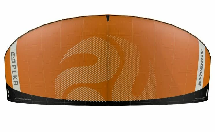 Synergy 2 Synergy - Image 2