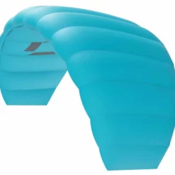 Duotone Trainer Lizard